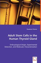 Adult Stem Cells in the Human Thyroid Gland - Embryological Origin, Experimental Detection, and Molecular Characterisation