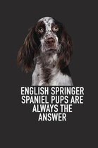 English Springer Spaniel Pups Are Always the Answer