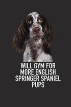 Will Gym for More English Springer Spaniel Pups