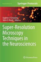 Super-Resolution Microscopy Techniques in the Neurosciences