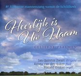8e Rijssense mannanzang vanuit de Schildkerk // HEERLIJK IS UW NAAM // Geliefde psalmen // Fluit- & Orgelbegeleiding