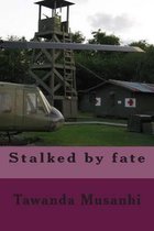 Stalked by fate