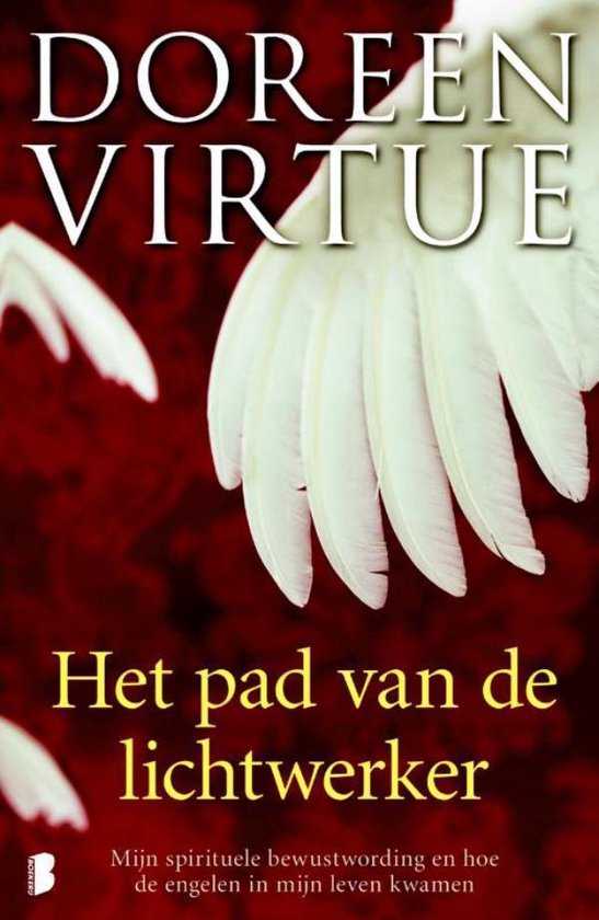Cover van het boek 'Het pad van de lichtwerker'