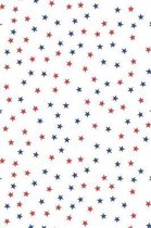 Patriotic Pattern United States of America 97