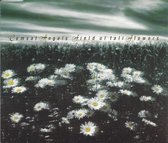 Comsat Angels - Field Of Tall Flowers (CD-Single)