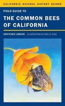 Field Guide To Common Bees Of California