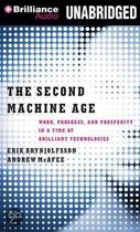 The Second Machine Age