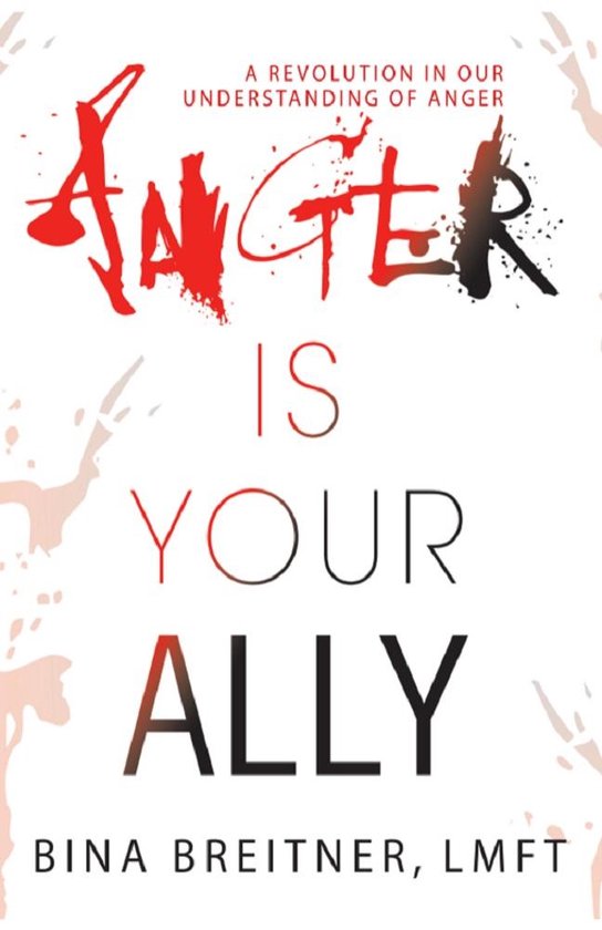 Anger Is Your Ally - cover