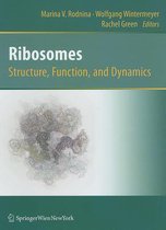 Ribosomes  Structure, Function, and Dynamics