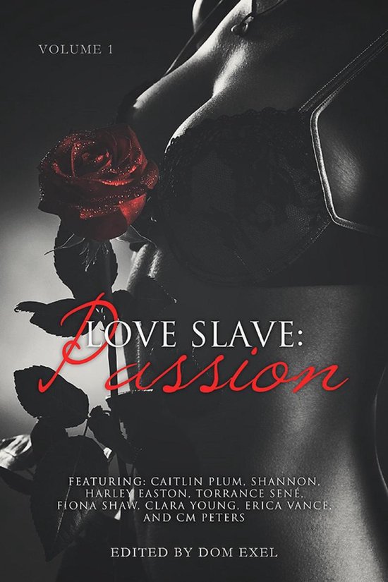 Love Slave Passion Ebook Dom Exel 9781310319983 Boeken