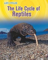 The Life Cycle of Reptiles