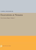 Excavations at Nessana, Volume 3 - Non-Literary Papyri