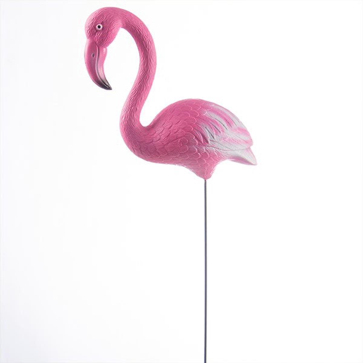 Evolueren Wizard Buitensporig Flamingo Tuindecoratie | bol.com