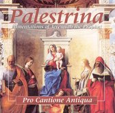 Palestrina: Lamentations of Jeremiah the Prophet