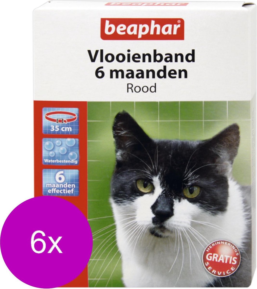 Beaphar 6 Maanden Kat cm - Anti vlooienmiddel - 6 x Rood | bol.com