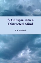 A Glimpse into a Distracted Mind