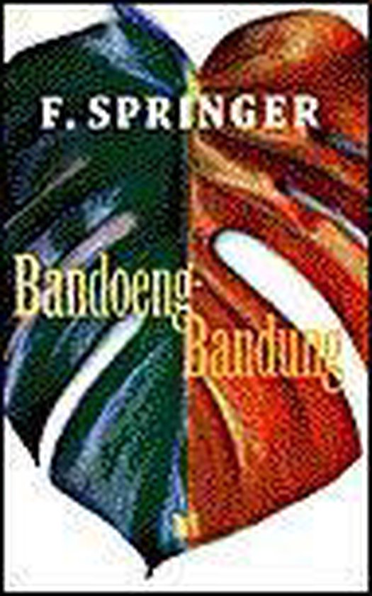9789041300195 - Bandoeng Bandung