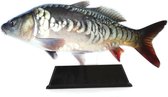 Vistrofee Real Fish Karper 20 cm - Prijs Viswedstrijd Karperwedstrijd Visprijs Wedstrijdprijzen Sportvissen Visprijzen Wedstrijdvissen Viswedstrijden Sportvisprijs Sportvisprijzen