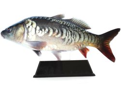 Vistrofee Real Fish Karper 20 cm - Prijs Viswedstrijd Karperwedstrijd Visprijs Wedstrijdprijzen Sportvissen Visprijzen Wedstrijdvissen Viswedstrijden Sportvisprijs Sportvisprijzen Visbokaal Vis Bokaal Beker Visbeker Wedstrijdbeker Visbeeld Beeldje He