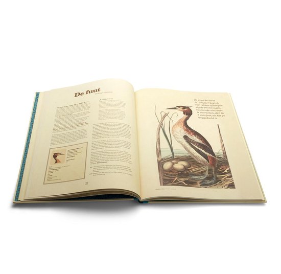 Thumbnail van een extra afbeelding van het spel Terra Lannoo Het heel grote vogelboek