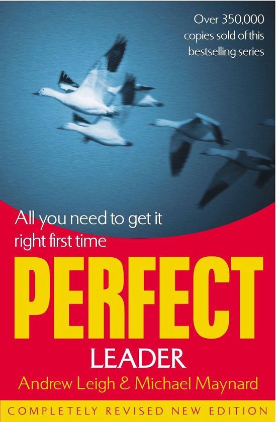 Perfect Leader - cover