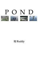 Pond