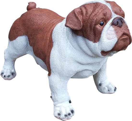 Engelse Bulldog D. bruin wit 40 cm