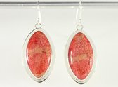 Grote zilveren oorbellen met rode koraal steen