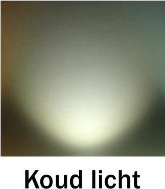 Dek de tafel Ontbering vragenlijst Uitschufbaar statief incl. 1 led bouwlamp 20 Watt koud wit licht | bol.com