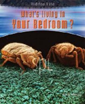 What's Living In Your Bedroom