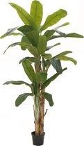 Europalms Bananenboom - Kunstplant - 240cm - Bananenplant Hoog