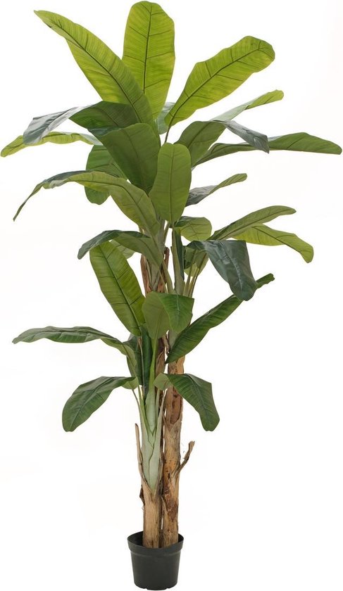 Europalms Bananenboom - Kunstplant - 240cm - Bananenplant Hoog | bol.com