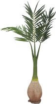 EUROPALMS Phoenix palm - Kunstplant - 240cm