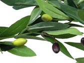 Europalms kunstplant - Olijf Slinger - 180 cm - Kunstplant