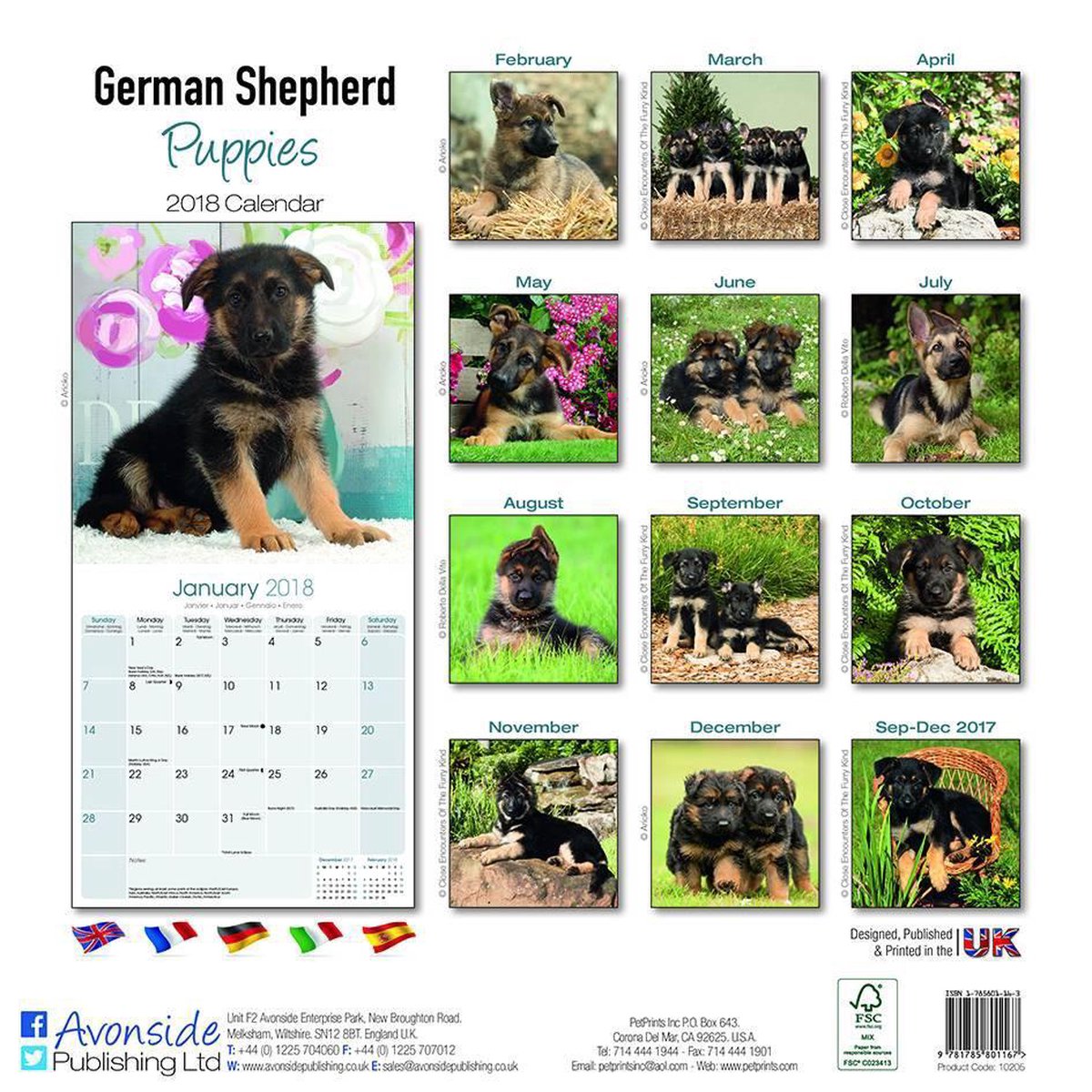 German Shepherd Puppies Calendar 2018