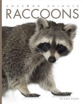 Amazing Animals- Raccoons