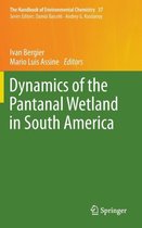 Dynamics of the Pantanal Wetland in South America