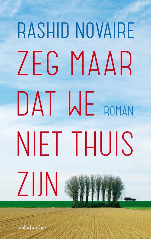Zeg maar dat we niet thuis zijn - cover