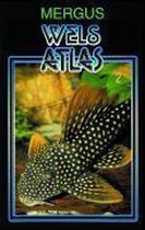 Wels Atlas 2