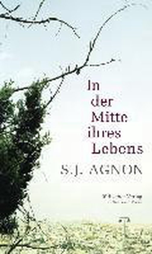 In der Mitte ihres Lebens, Samuel Joseph Agnon 9783633542666 Boeken