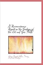 A Reconnaissance Report on the Geology of the Oil and Gas Fields