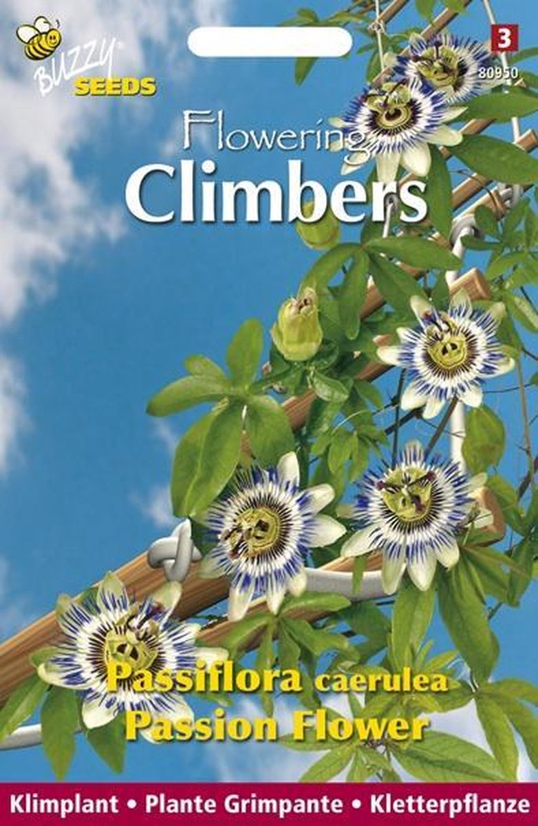Buzzy  Flowering Climbers Passiflora Couerulea Bloemzaad