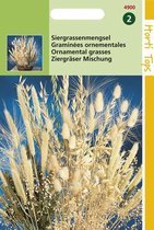 Hortitops Seeds - Mélange d'herbe ornementale