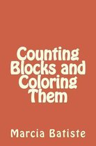 Counting Blocks and Coloring Them