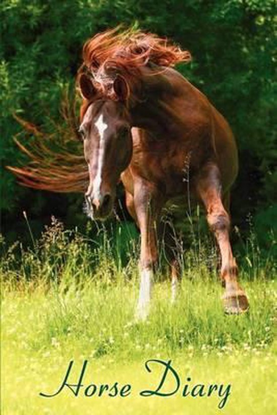 Horse Diary - cover