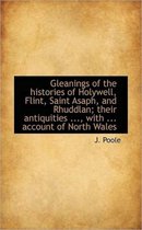 Gleanings of the Histories of Holywell, Flint, Saint Asaph, and Rhuddlan; Their Antiquities ..., Wit