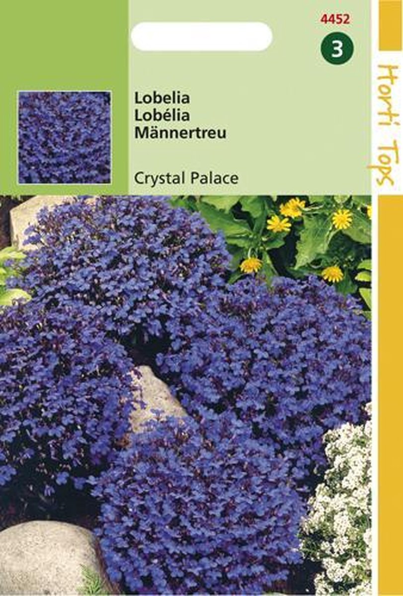 Hortitops Zaden - Lobelia erinus comp. Crystal Palace