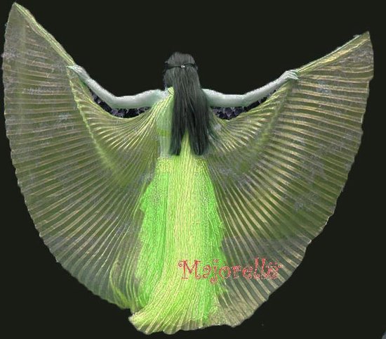Gele isis wings vleugels voor dans of theater