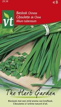 Chinese Bieslook Zaden - Aromatische Kruiden voor Exotische Gerechten en Salades