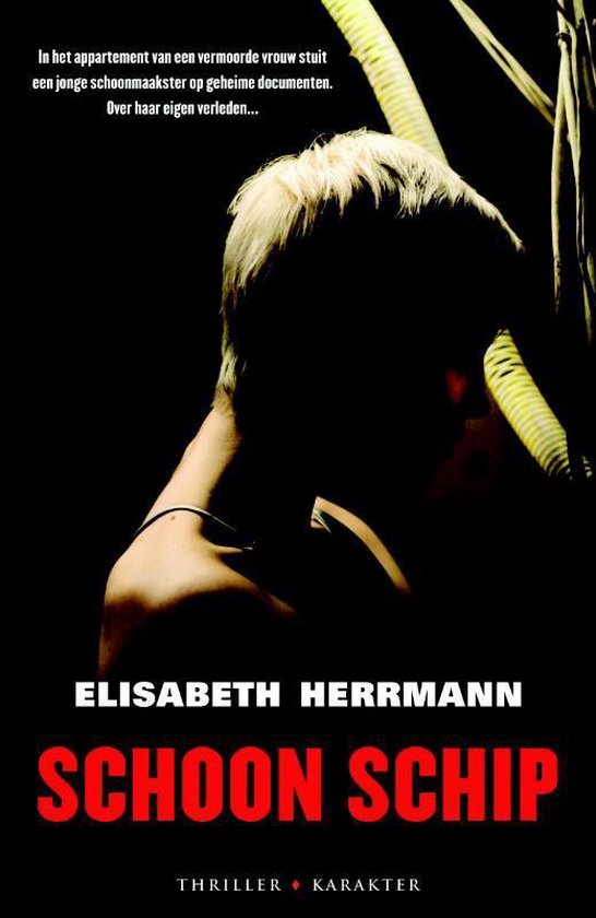 Cover van het boek 'Schoon schip'
